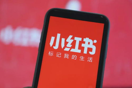 商业动态观察 融资潮与业务拓展并行